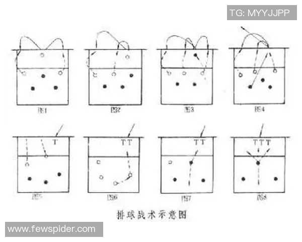 北京排球队的战术演变与球员角色转换深度解析