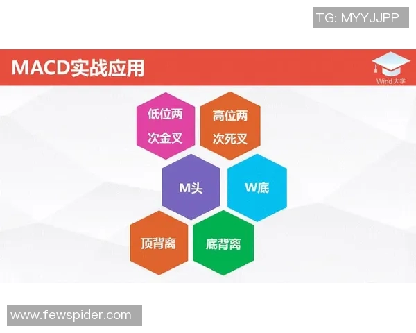 深入分析重庆排球队反击战术的独特魅力与实战应用